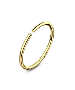 Gold Plated Circular Nose Rings NSKR-0-GP